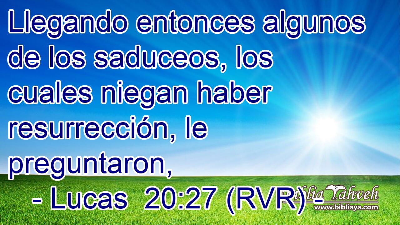 Llegando entonces algunos de los saduceos, los cuales niegan haber resurrección, le preguntaron,