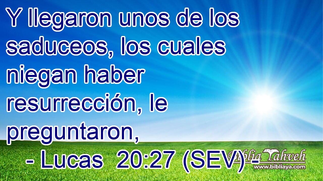 Y llegaron unos de los saduceos, los cuales niegan haber resurrección, le preguntaron,