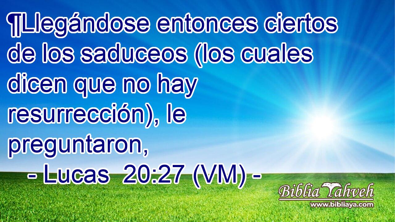  ¶Llegándose entonces ciertos de los saduceos (los cuales dicen que no hay resurrección), le preguntaron, 