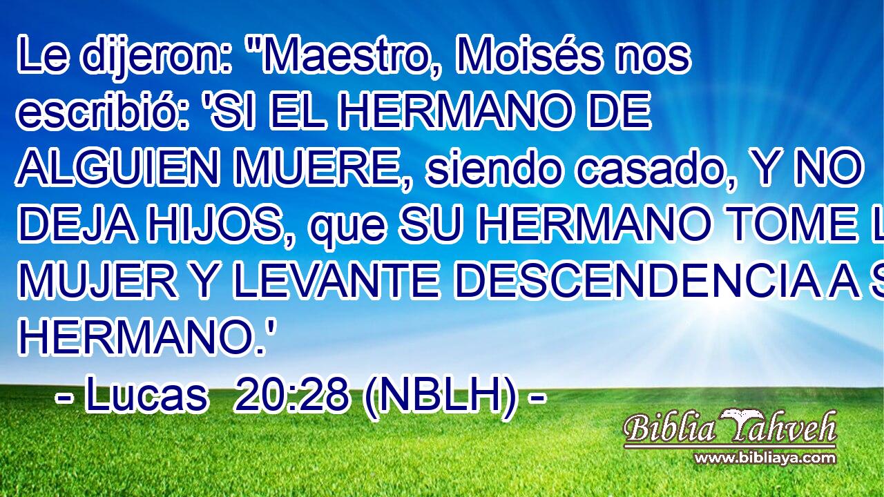  Le dijeron: 