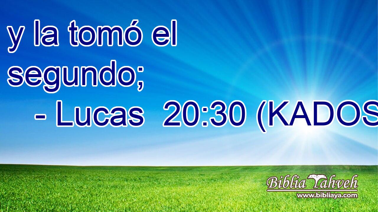  y la tomó el segundo; 