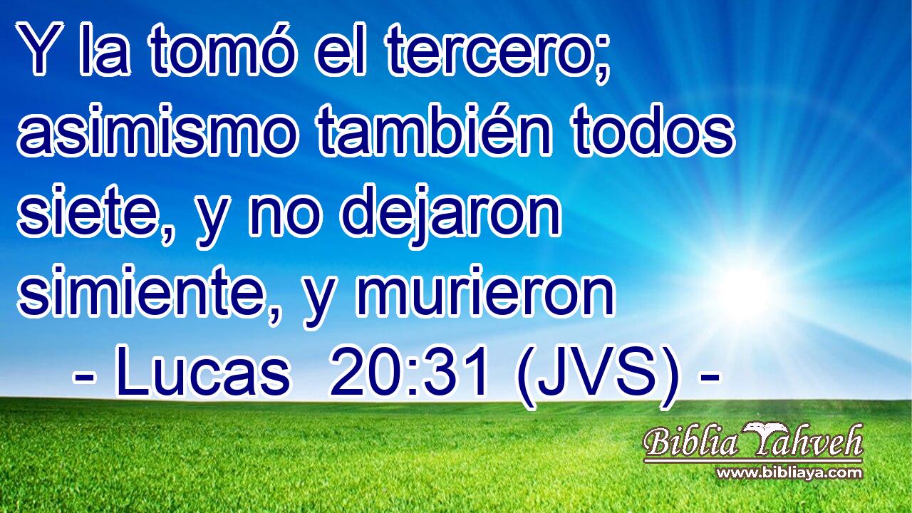 Y la tomó el tercero; asimismo también todos siete, y no dejaron simiente, y murieron