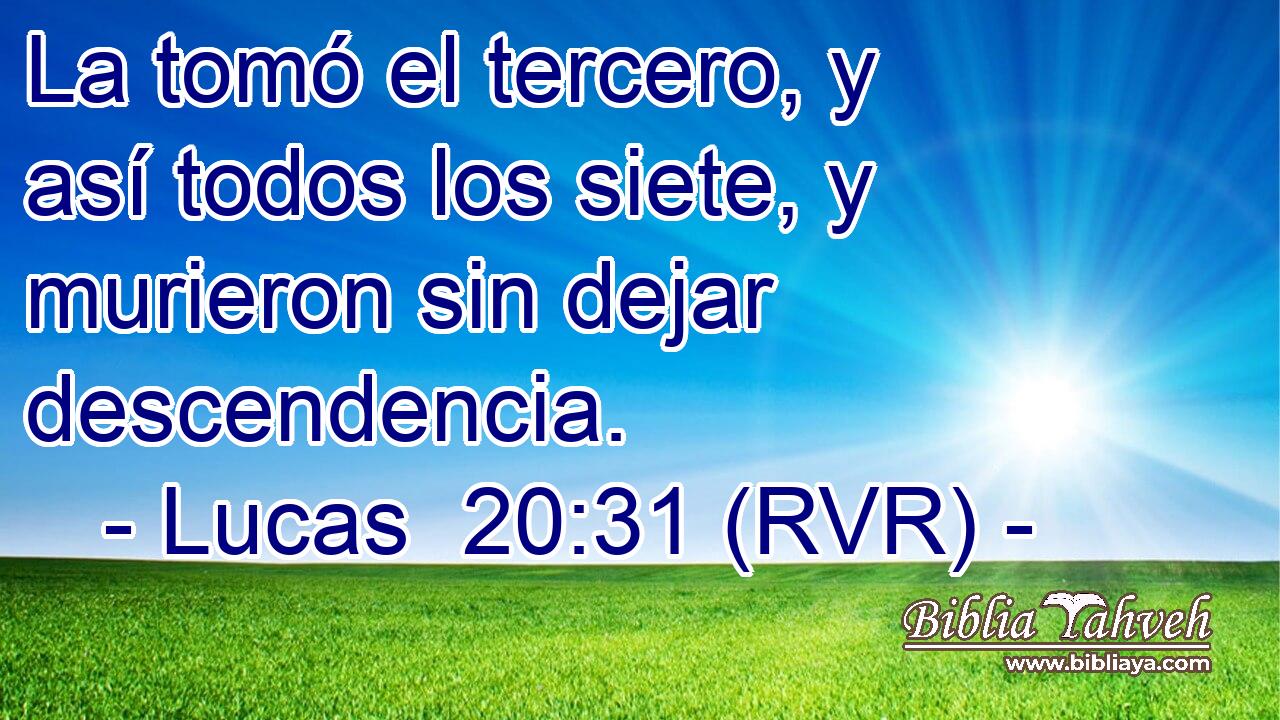 La tomó el tercero, y así todos los siete, y murieron sin dejar descendencia.