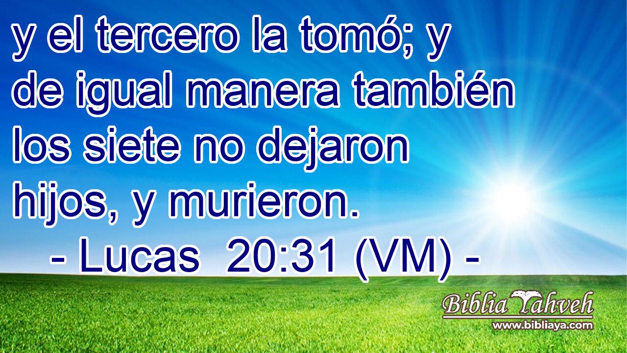  y el tercero la tomó; y de igual manera también los siete no dejaron hijos, y murieron. 