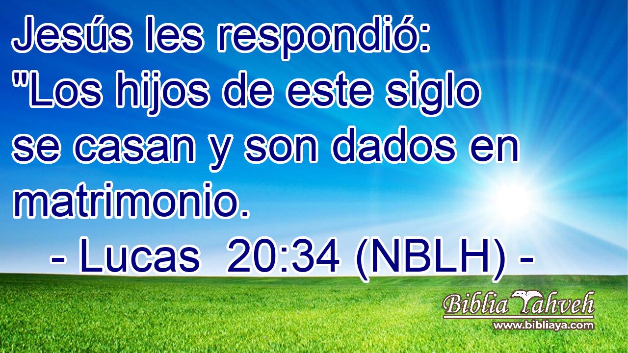  Jesús les respondió: 