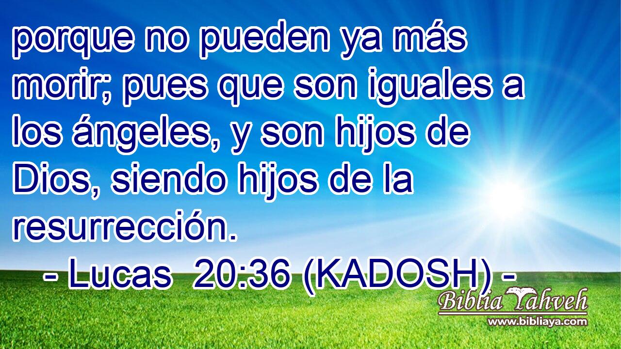  porque no pueden ya más morir; pues que son iguales a los ángeles, y son hijos de Dios, siendo hijos de la resurrección. 