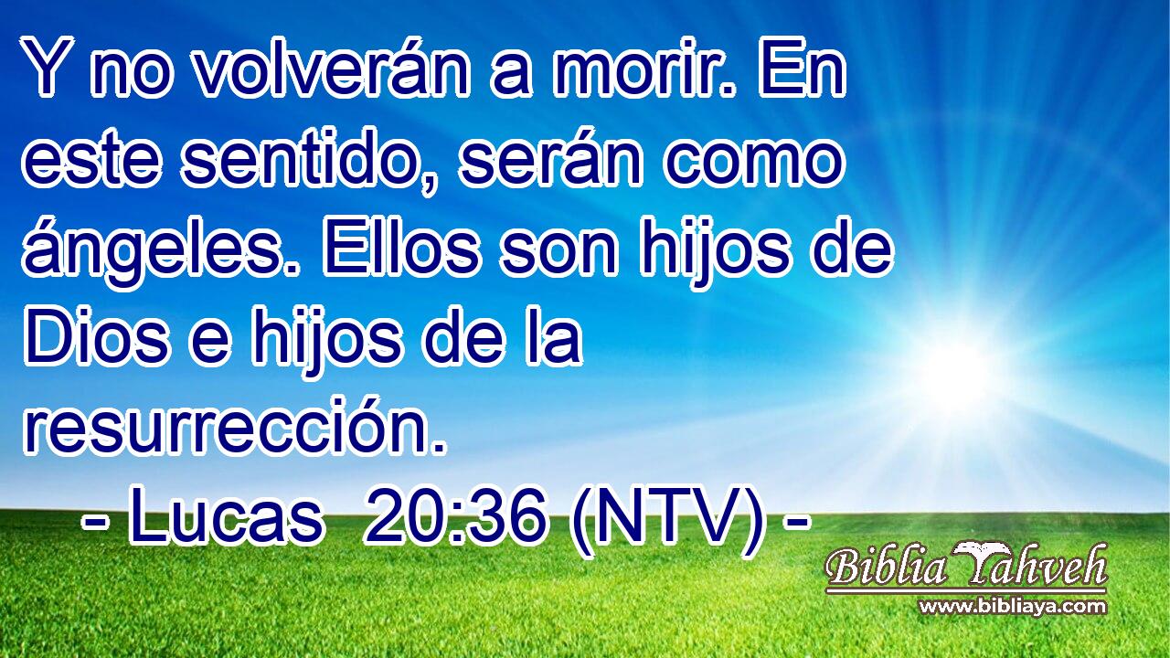 Y no volverán a morir. En este sentido, serán como ángeles. Ellos son hijos de Dios e hijos de la resurrección.