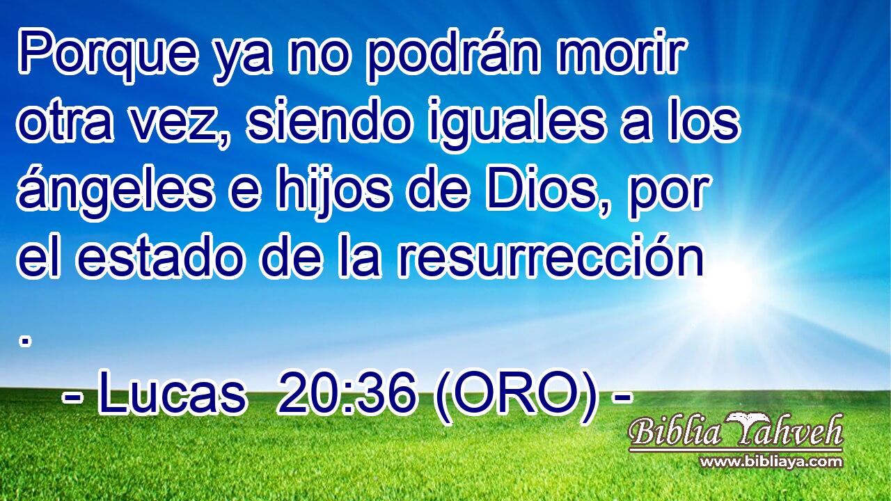  Porque ya no podrán morir otra vez, siendo iguales a los ángeles e hijos de Dios, por el estado de la resurrección . 