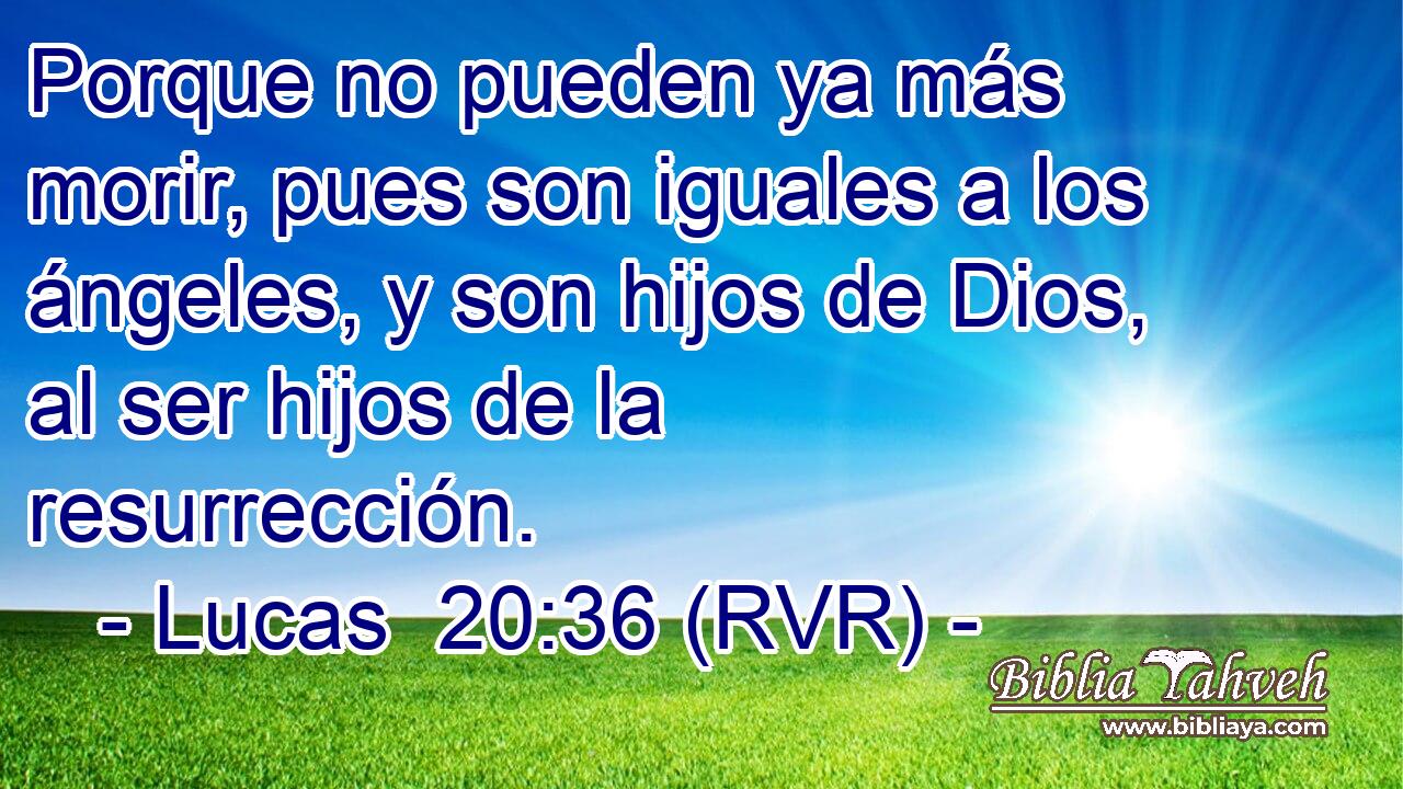 Porque no pueden ya más morir, pues son iguales a los ángeles, y son hijos de Dios, al ser hijos de la resurrección.