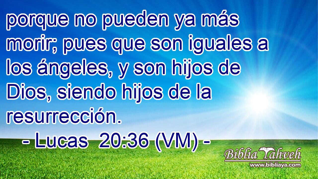  porque no pueden ya más morir; pues que son iguales a los ángeles, y son hijos de Dios, siendo hijos de la resurrección. 