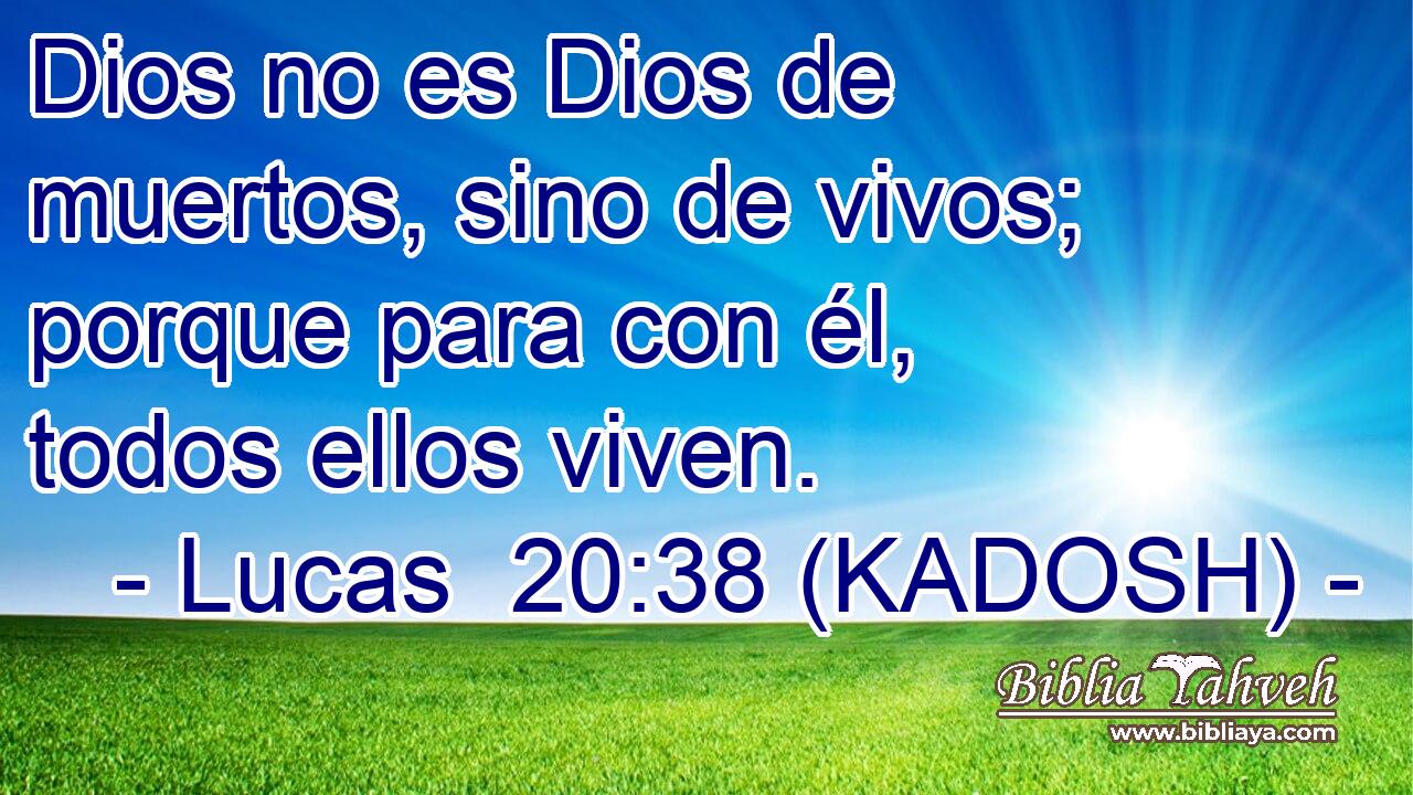  Dios no es Dios de muertos, sino de vivos; porque para con él, todos ellos viven. 