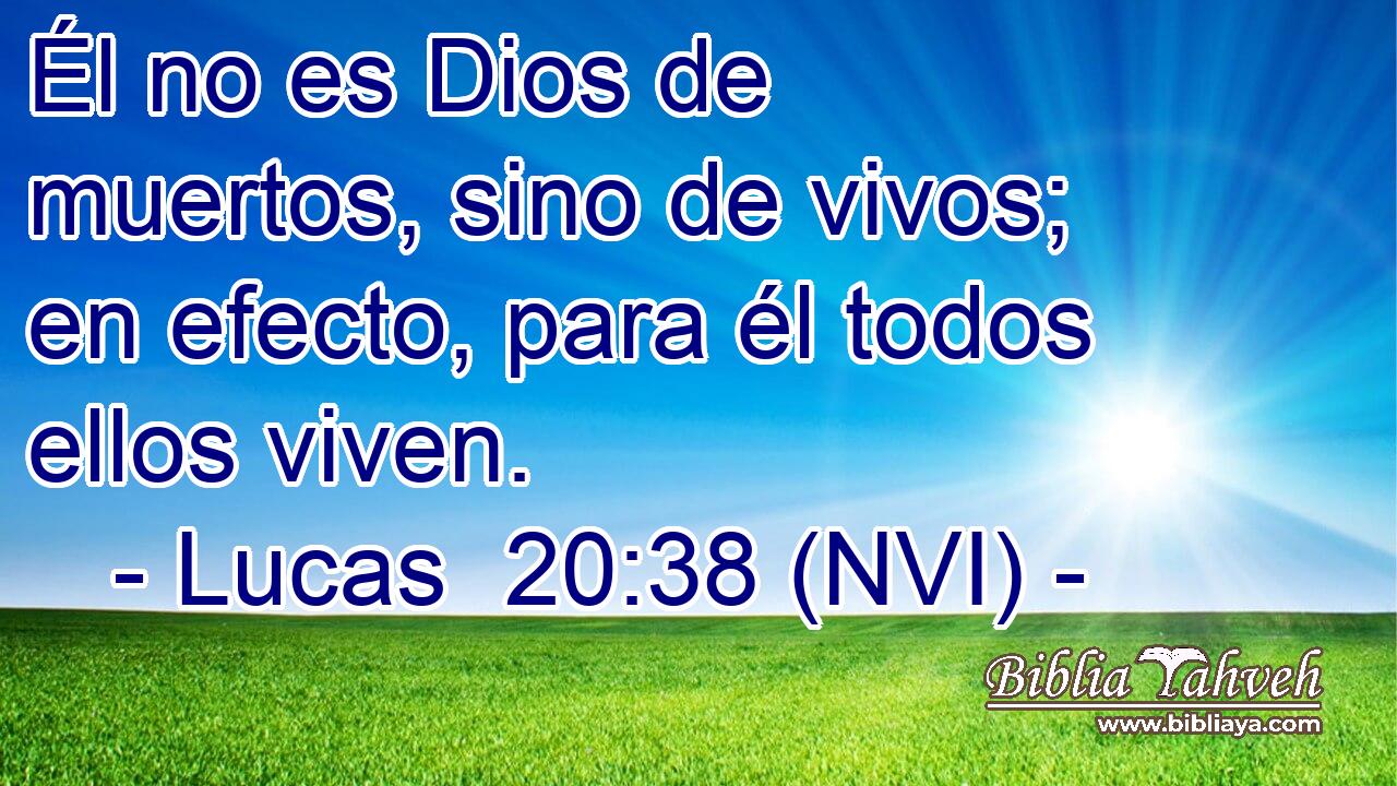  Él no es Dios de muertos, sino de vivos; en efecto, para él todos ellos viven. 