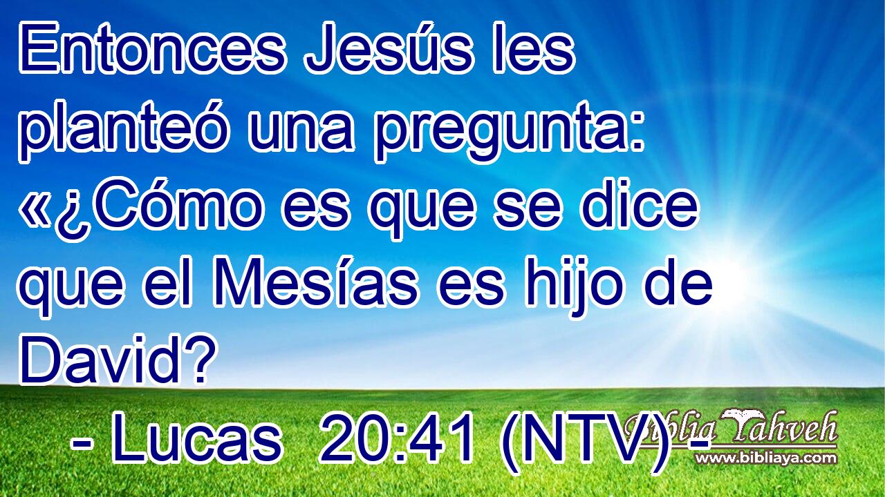 Entonces Jesús les planteó una pregunta: «¿Cómo es que se dice que el Mesías es hijo de David?