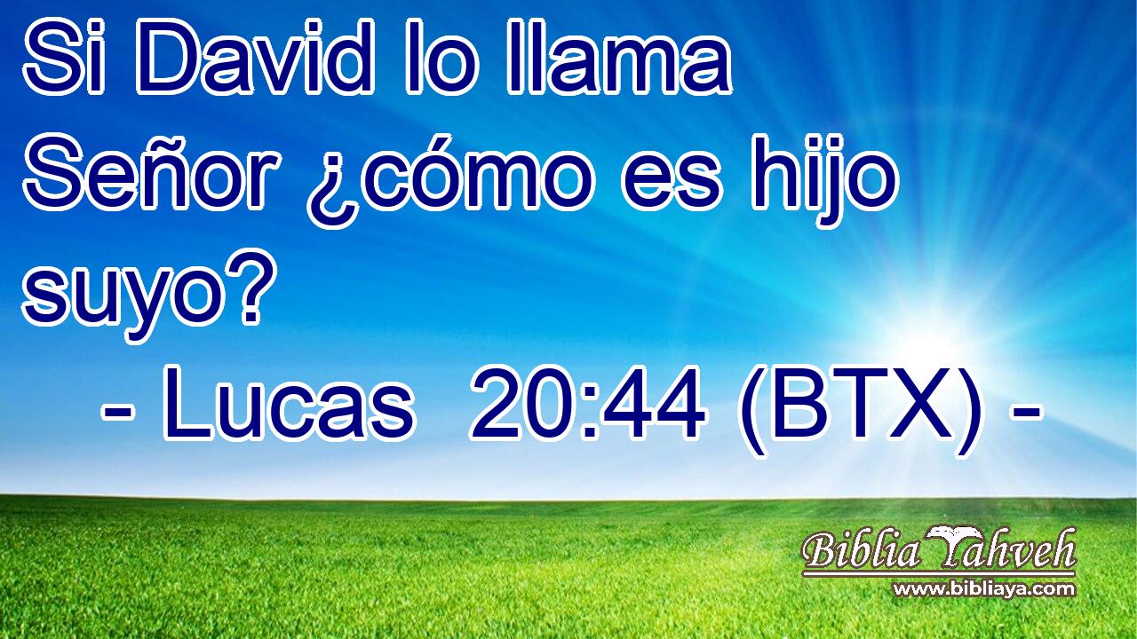 Si David lo llama Señor ¿cómo es hijo suyo?