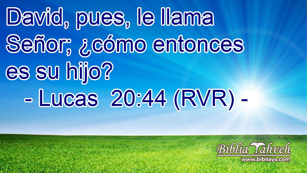 David, pues, le llama Señor; ¿cómo entonces es su hijo?
