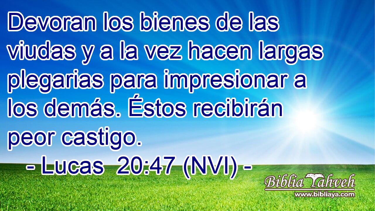  Devoran los bienes de las viudas y a la vez hacen largas plegarias para impresionar a los demás. Éstos recibirán peor castigo. 