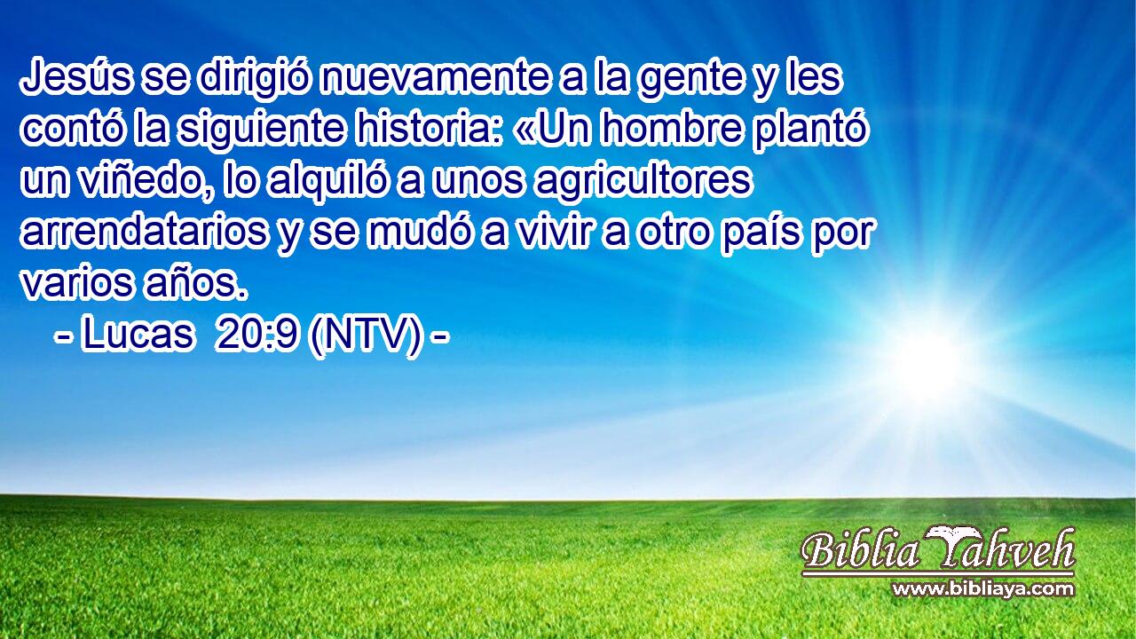 Jesús se dirigió nuevamente a la gente y les contó la siguiente historia: «Un hombre plantó un viñedo, lo alquiló a unos agricultores arrendatarios y se mudó a vivir a otro país por varios años.