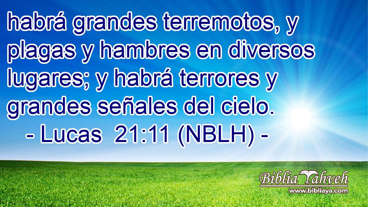  habrá grandes terremotos, y plagas y hambres en diversos lugares; y habrá terrores y grandes señales del cielo. 