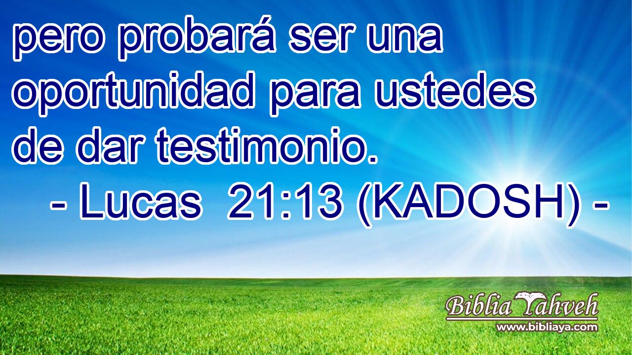  pero probará ser una oportunidad para ustedes de dar testimonio. 