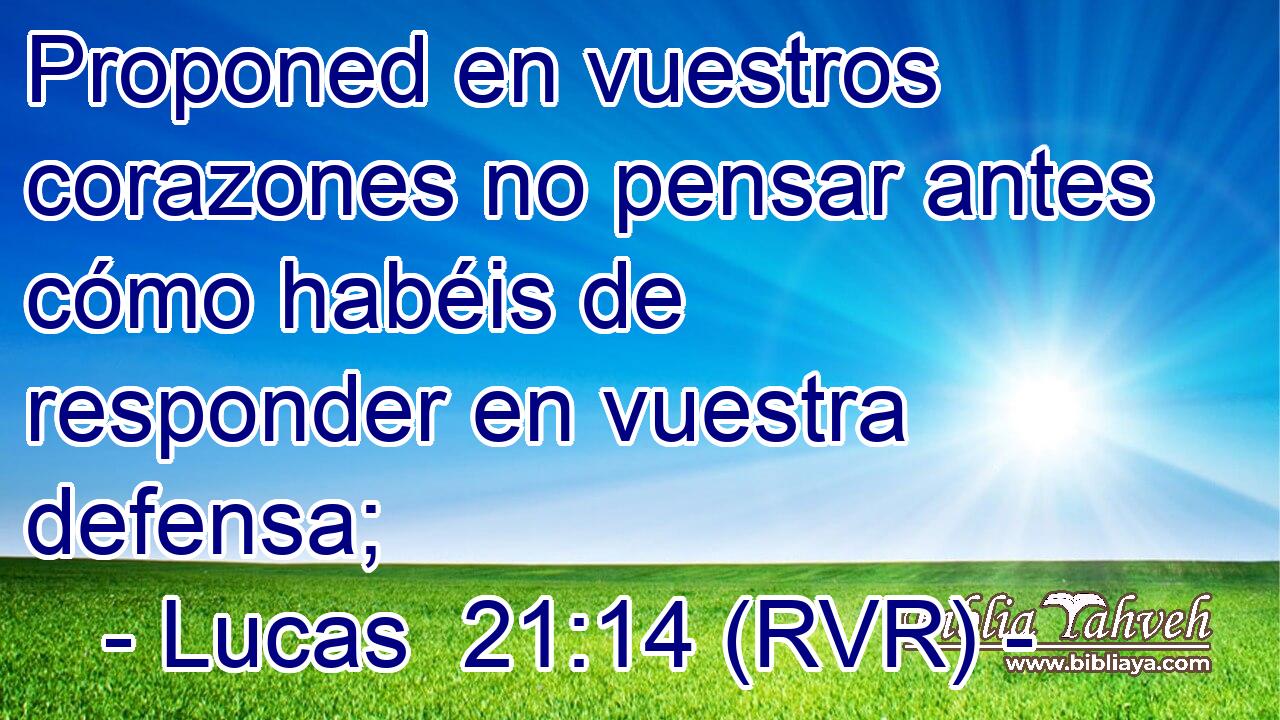 Proponed en vuestros corazones no pensar antes cómo habéis de responder en vuestra defensa;