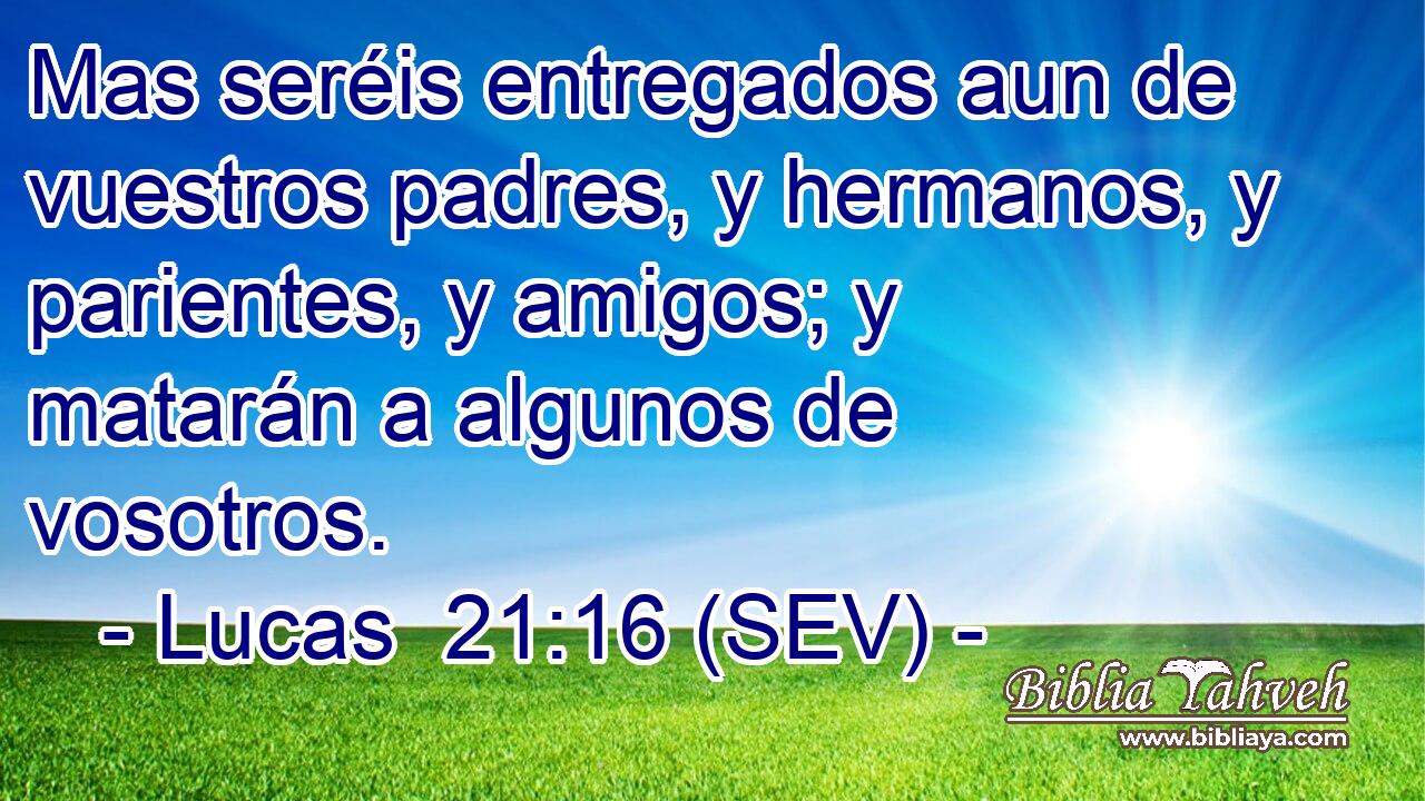 Mas seréis entregados aun de vuestros padres, y hermanos, y parientes, y amigos; y matarán a algunos de vosotros.
