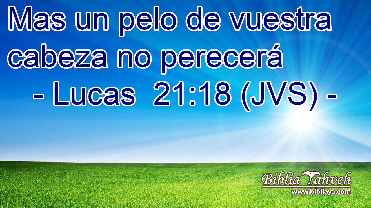 Mas un pelo de vuestra cabeza no perecerá