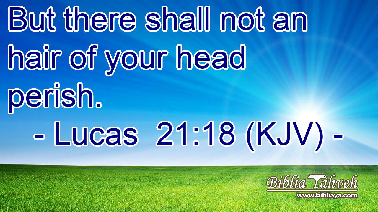 But there shall not an hair of your head perish.