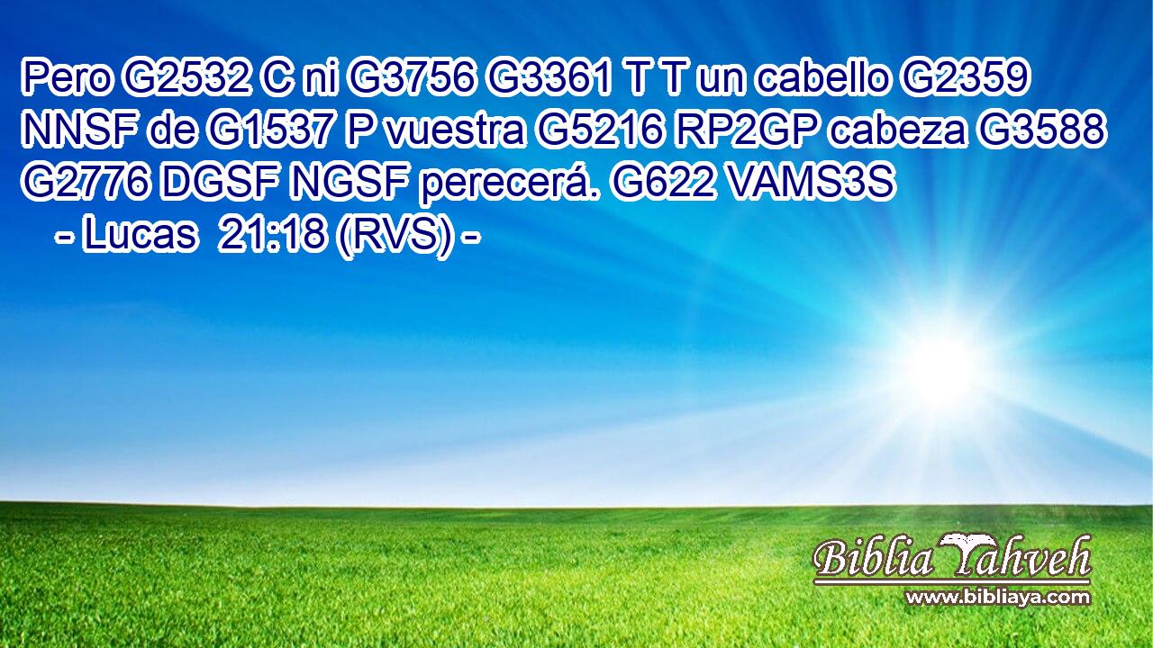 Pero G2532 C ni G3756 G3361 T T un cabello G2359 NNSF de G1537 P vuestra G5216 RP2GP cabeza G3588 G2776 DGSF NGSF perecerá. G622 VAMS3S 