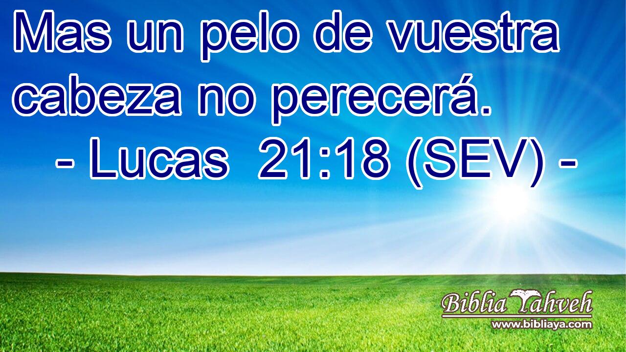 Mas un pelo de vuestra cabeza no perecerá.