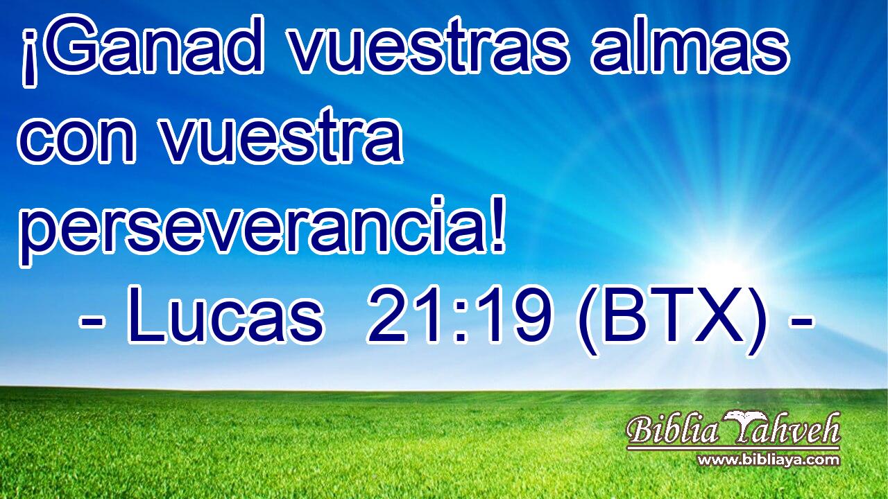 ¡Ganad vuestras almas con vuestra perseverancia!