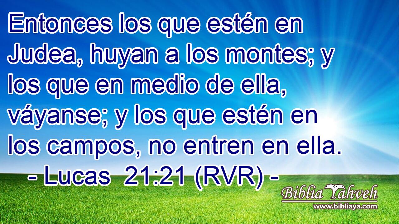 Entonces los que estén en Judea, huyan a los montes; y los que en medio de ella, váyanse; y los que estén en los campos, no entren en ella.