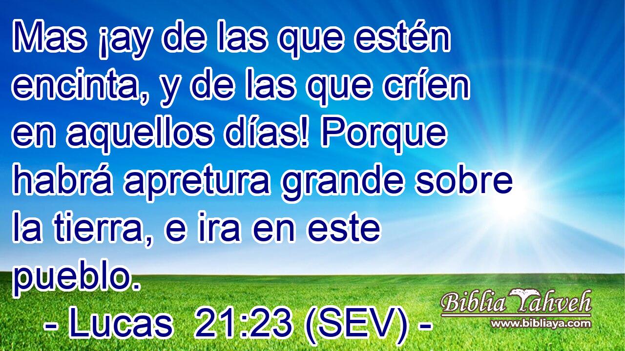 Mas ¡ay de las que estén encinta, y de las que críen en aquellos días! Porque habrá apretura grande sobre la tierra, e ira en este pueblo.