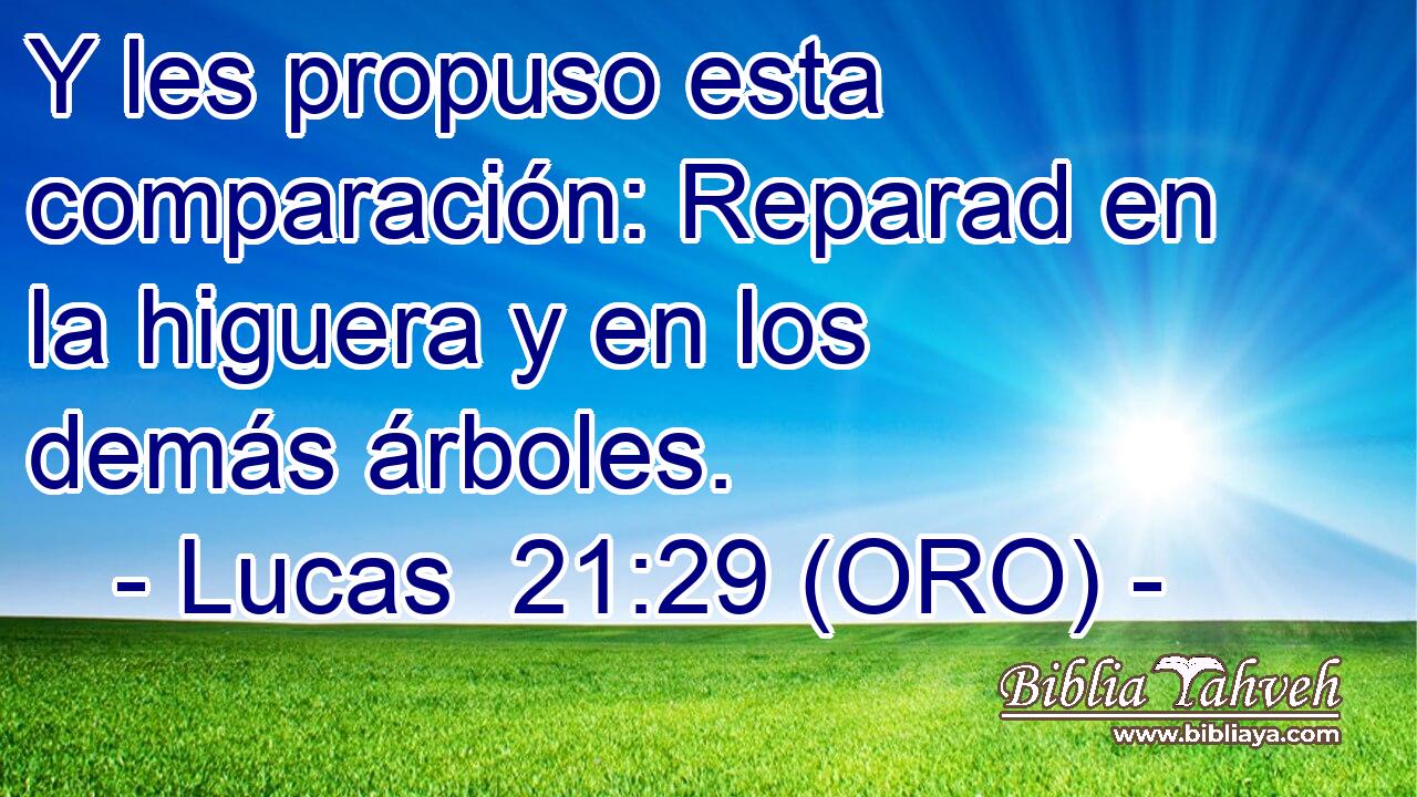  Y les propuso esta comparación: Reparad en la higuera y en los demás árboles. 
