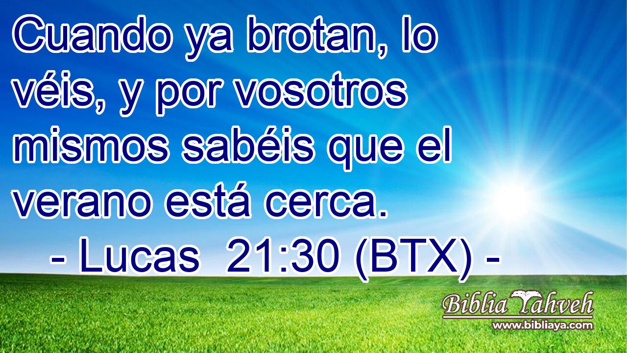 Cuando ya brotan, lo véis, y por vosotros mismos sabéis que el verano está cerca.