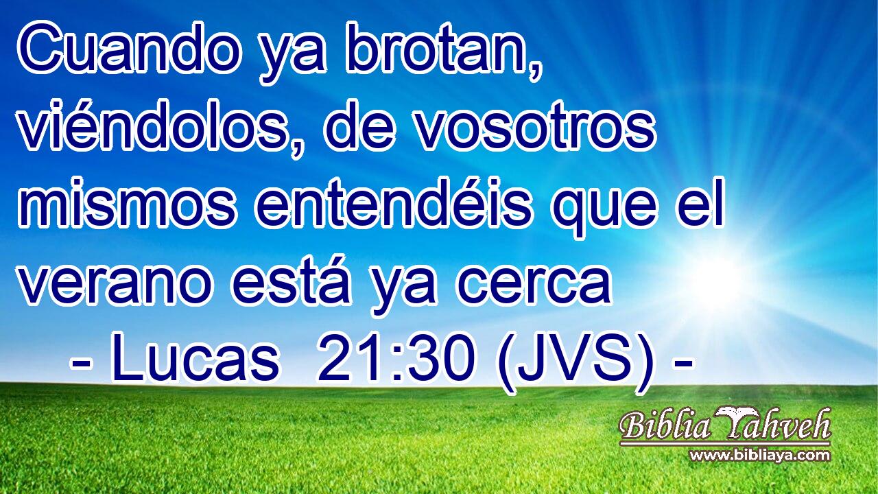 Cuando ya brotan, viéndolos, de vosotros mismos entendéis que el verano está ya cerca