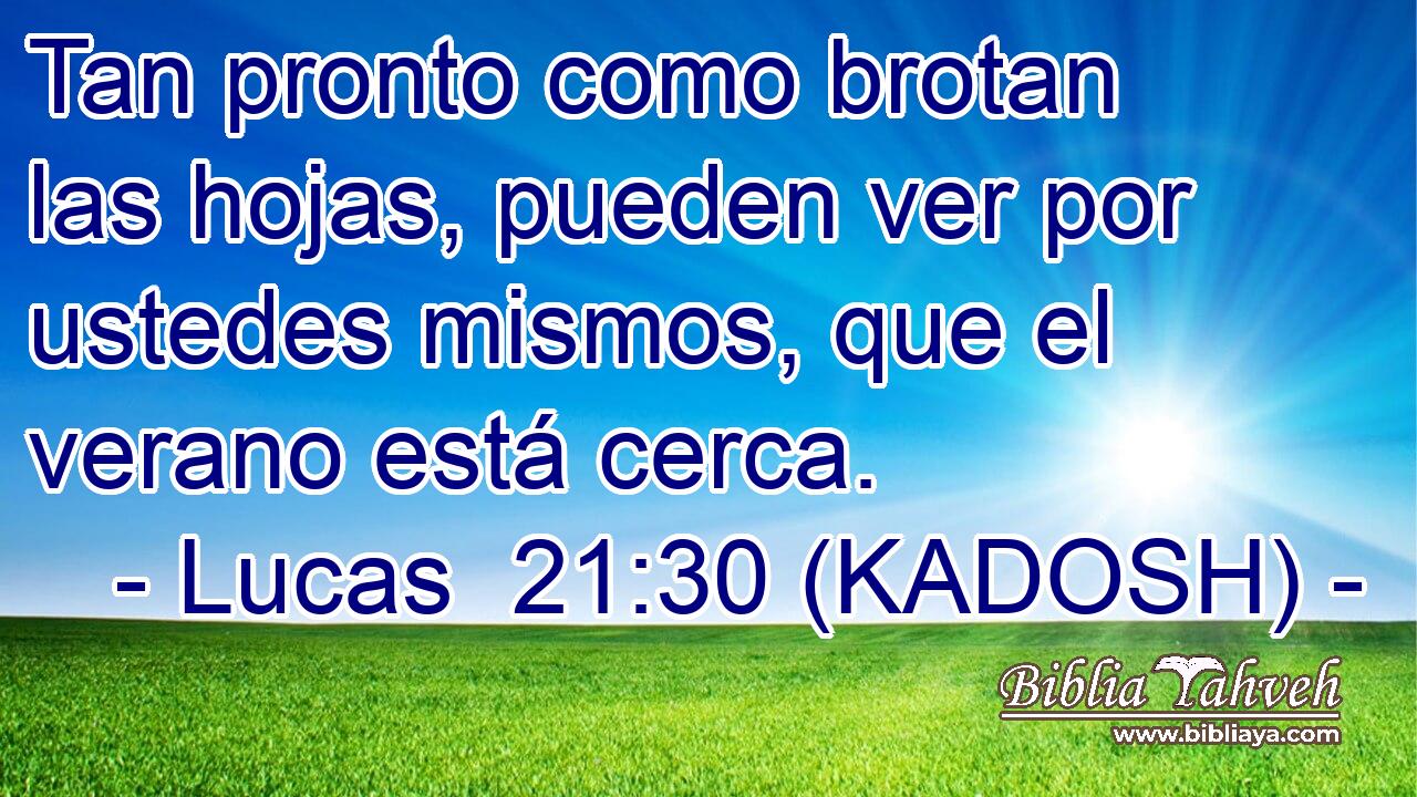  Tan pronto como brotan las hojas, pueden ver por ustedes mismos, que el verano está cerca. 