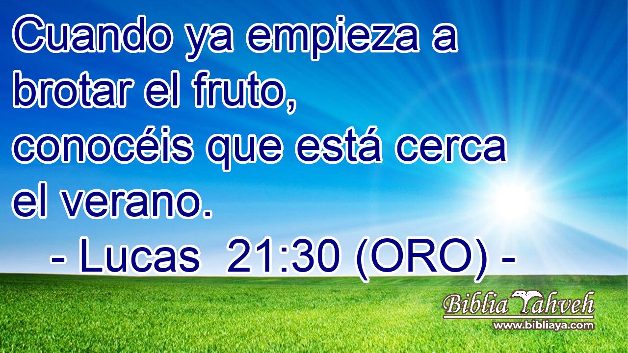  Cuando ya empieza a brotar el fruto, conocéis que está cerca el verano. 