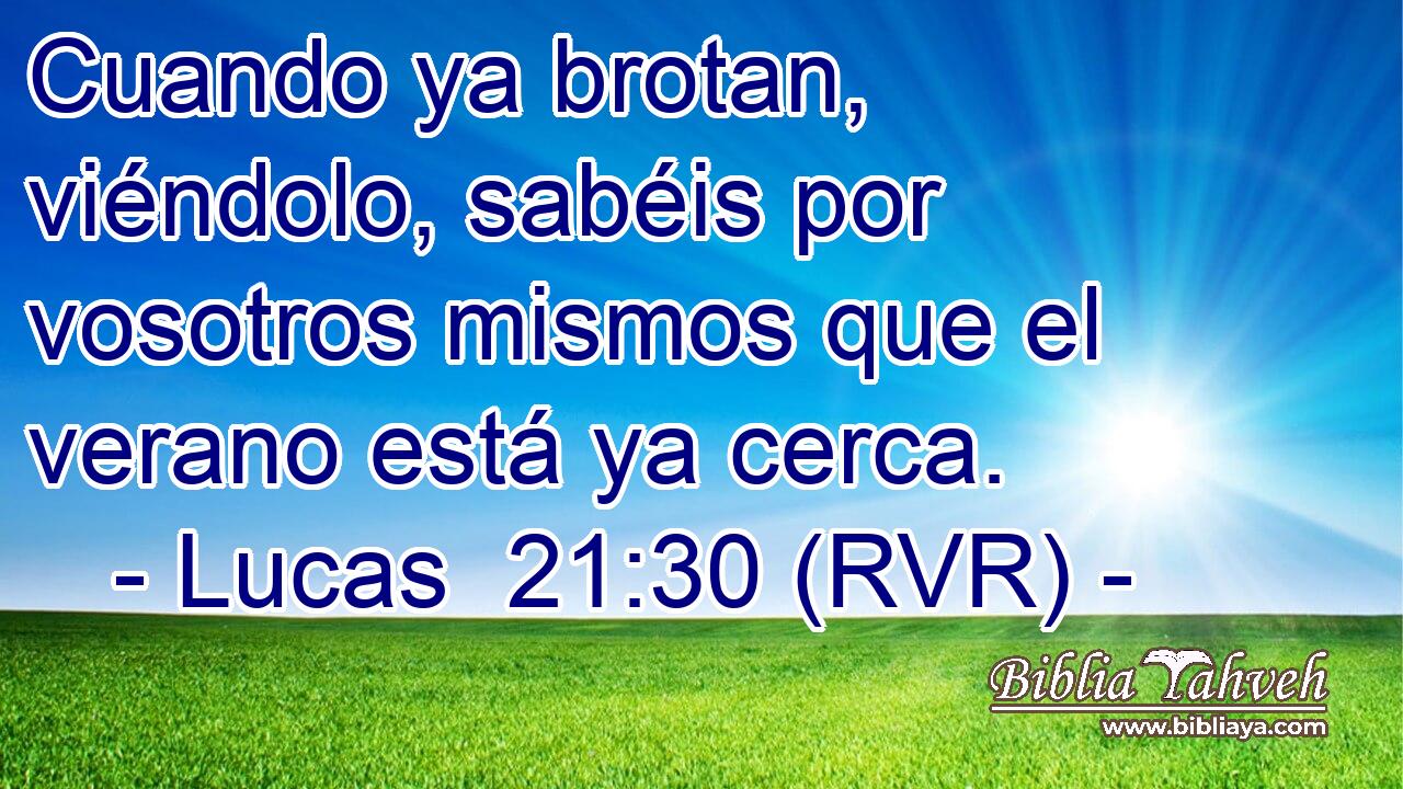 Cuando ya brotan, viéndolo, sabéis por vosotros mismos que el verano está ya cerca.