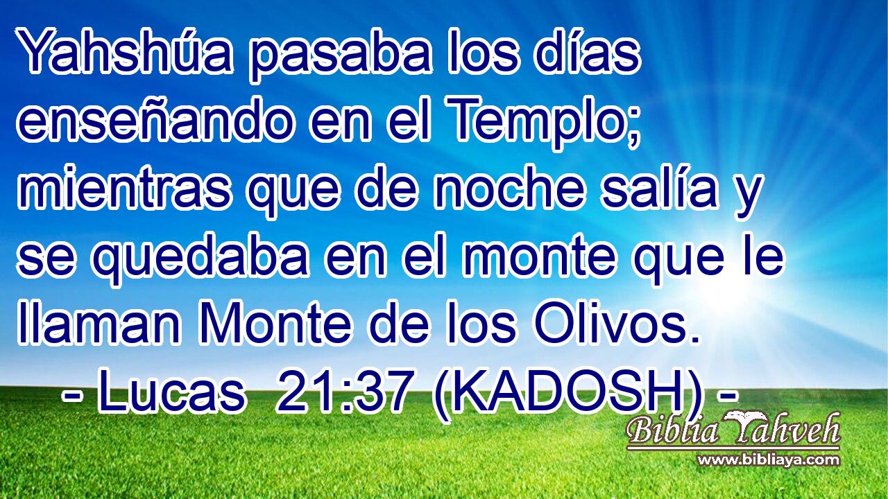  Yahshúa pasaba los días enseñando en el Templo; mientras que de noche salía y se quedaba en el monte que le llaman Monte de los Olivos. 