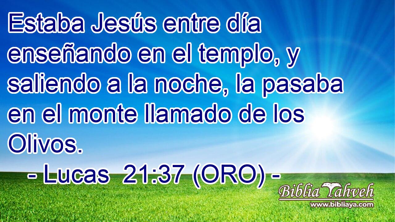  Estaba Jesús entre día enseñando en el templo, y saliendo a la noche, la pasaba en el monte llamado de los Olivos. 
