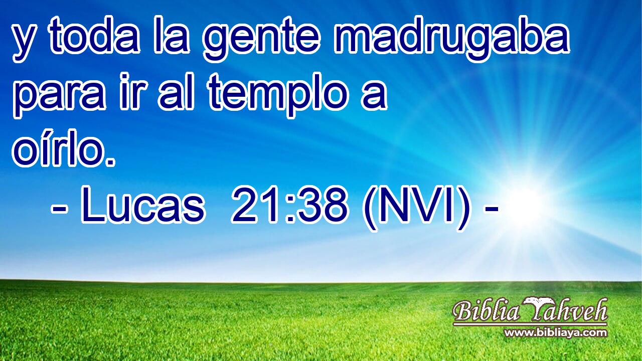  y toda la gente madrugaba para ir al templo a oírlo. 
