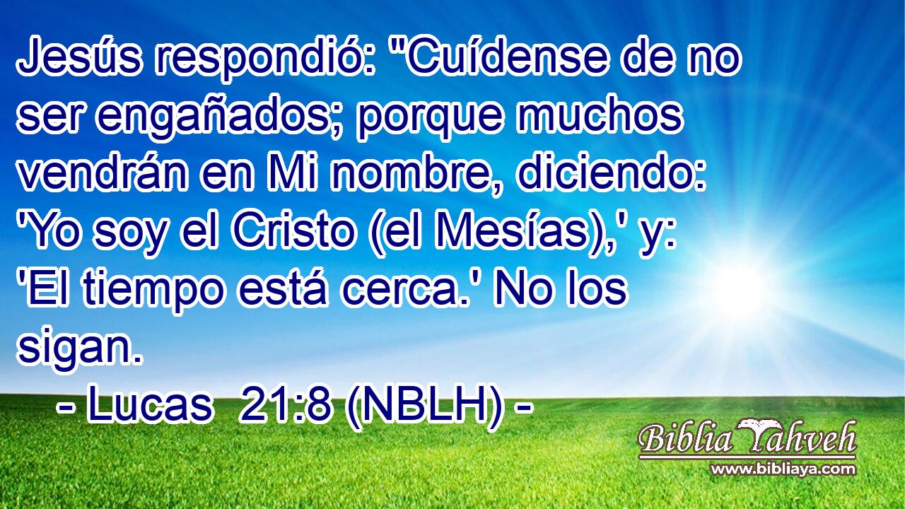  Jesús respondió: 