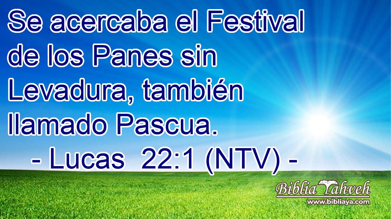 Se acercaba el Festival de los Panes sin Levadura, también llamado Pascua.