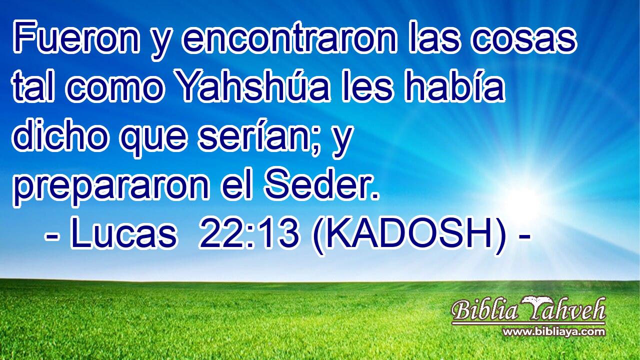  Fueron y encontraron las cosas tal como Yahshúa les había dicho que serían; y prepararon el Seder. 