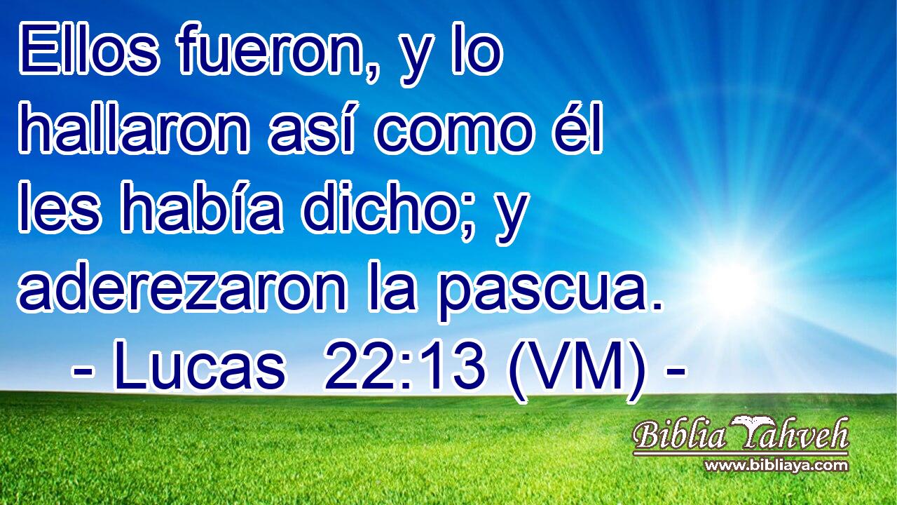  Ellos fueron, y lo hallaron así como él les había dicho; y aderezaron la pascua. 