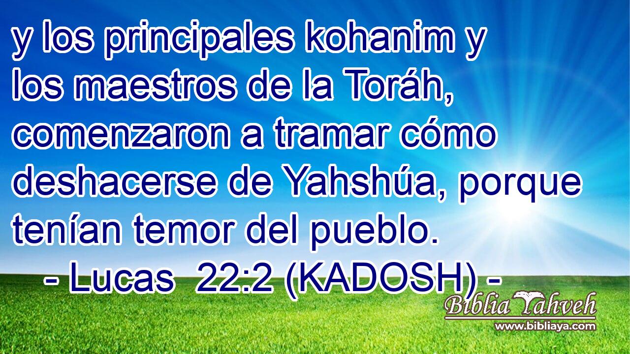  y los principales kohanim y los maestros de la Toráh, comenzaron a tramar cómo deshacerse de Yahshúa, porque tenían temor del pueblo. 