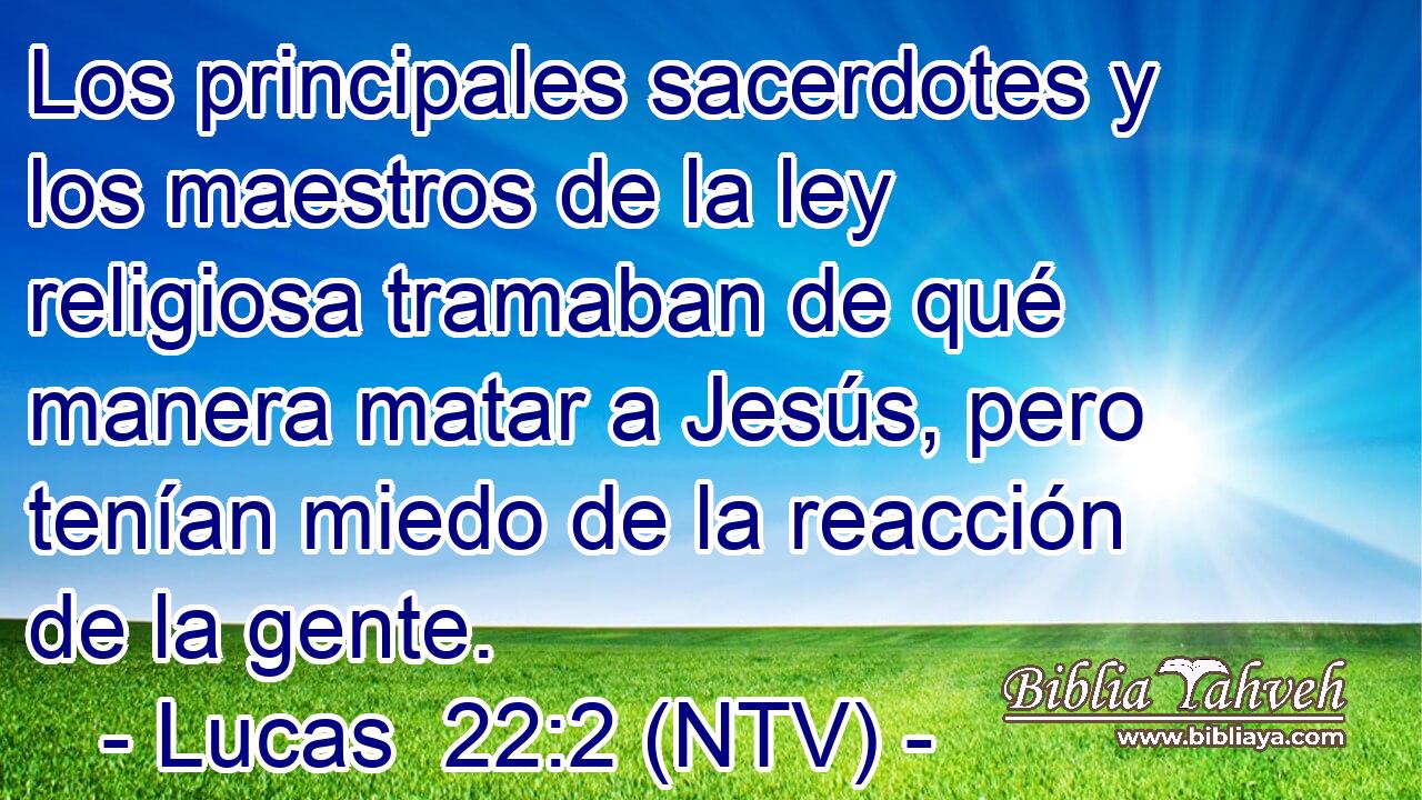 Los principales sacerdotes y los maestros de la ley religiosa tramaban de qué manera matar a Jesús, pero tenían miedo de la reacción de la gente.