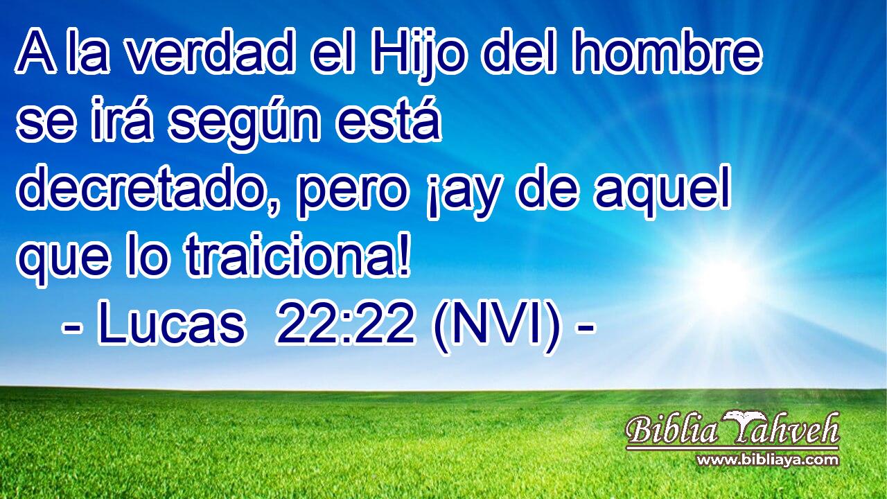  A la verdad el Hijo del hombre se irá según está decretado, pero ¡ay de aquel que lo traiciona! 