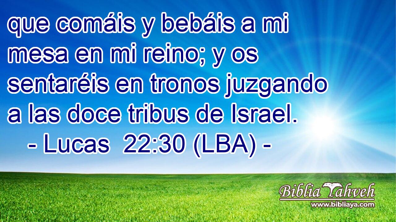 que comáis y bebáis a mi mesa en mi reino; y os sentaréis en tronos juzgando a las doce tribus de Israel.