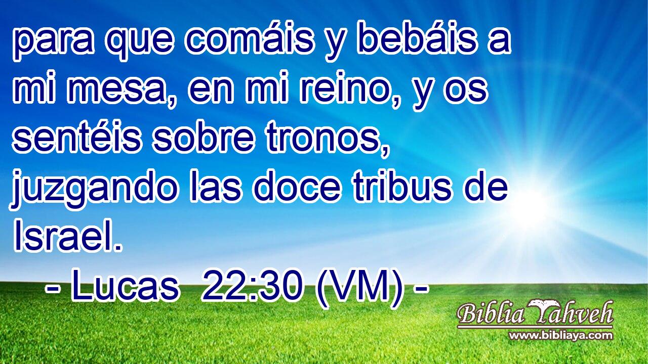 para que comáis y bebáis a mi mesa, en mi reino, y os sentéis sobre tronos, juzgando las doce tribus de Israel. 
